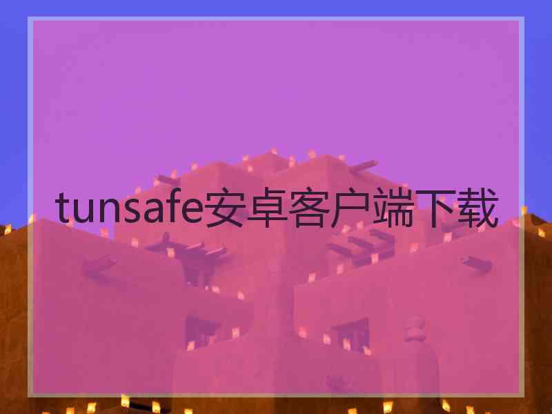 tunsafe安卓客户端下载