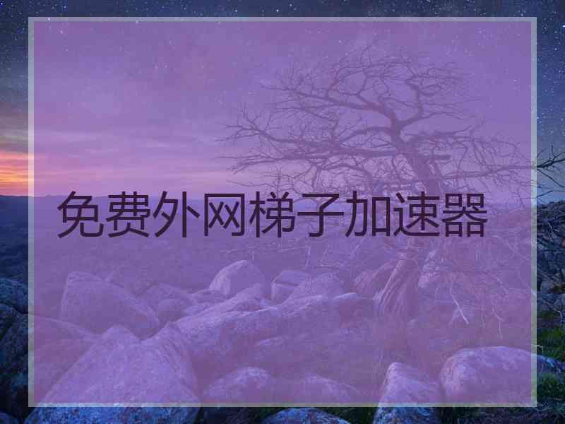 免费外网梯子加速器
