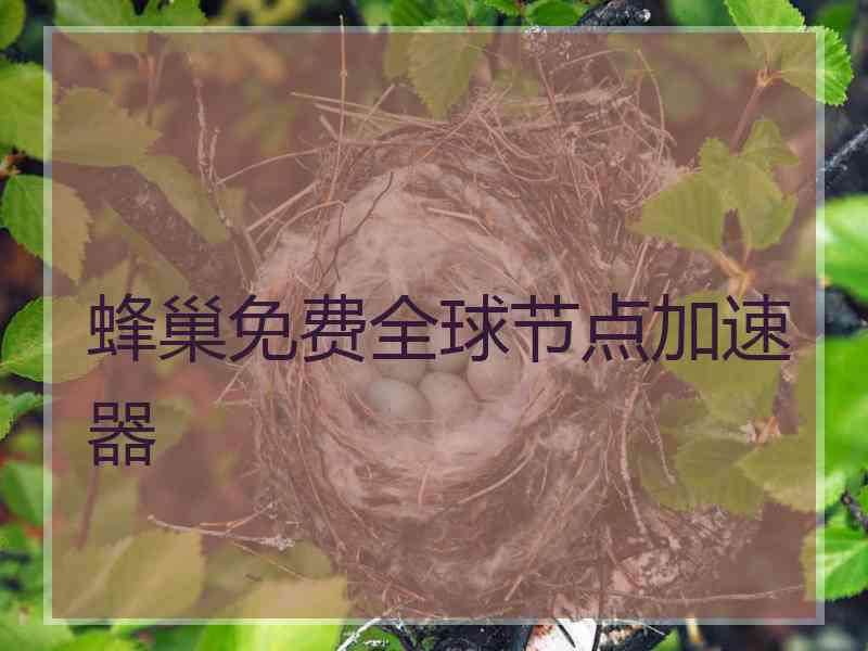 蜂巢免费全球节点加速器