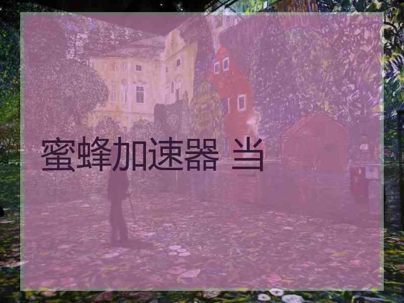 蜜蜂加速器 当