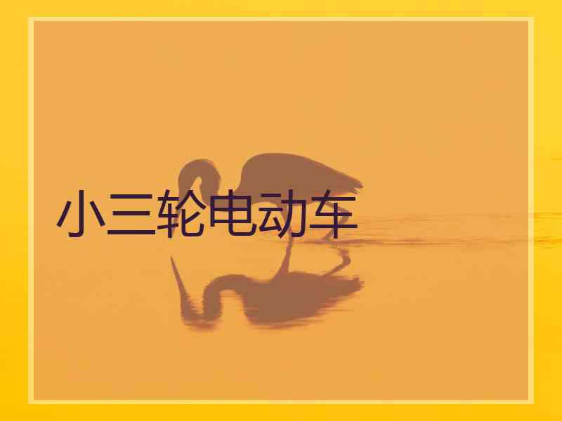 小三轮电动车