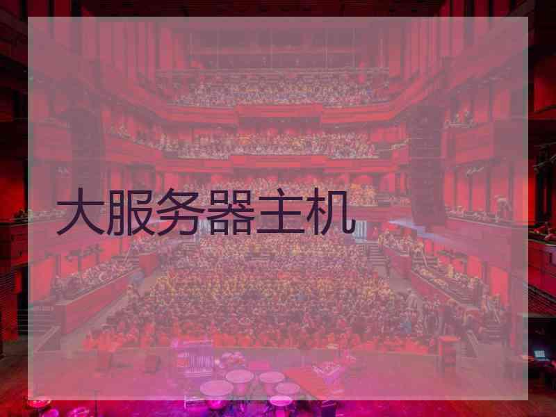 大服务器主机