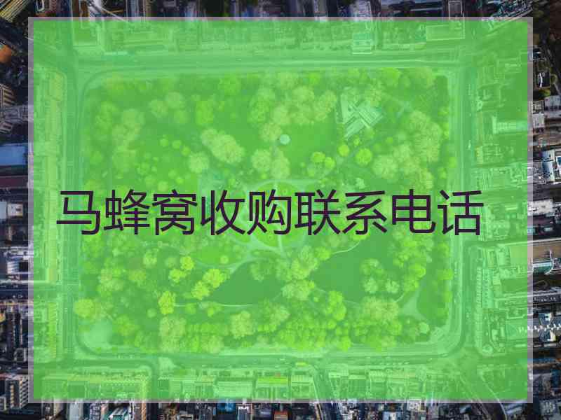 马蜂窝收购联系电话