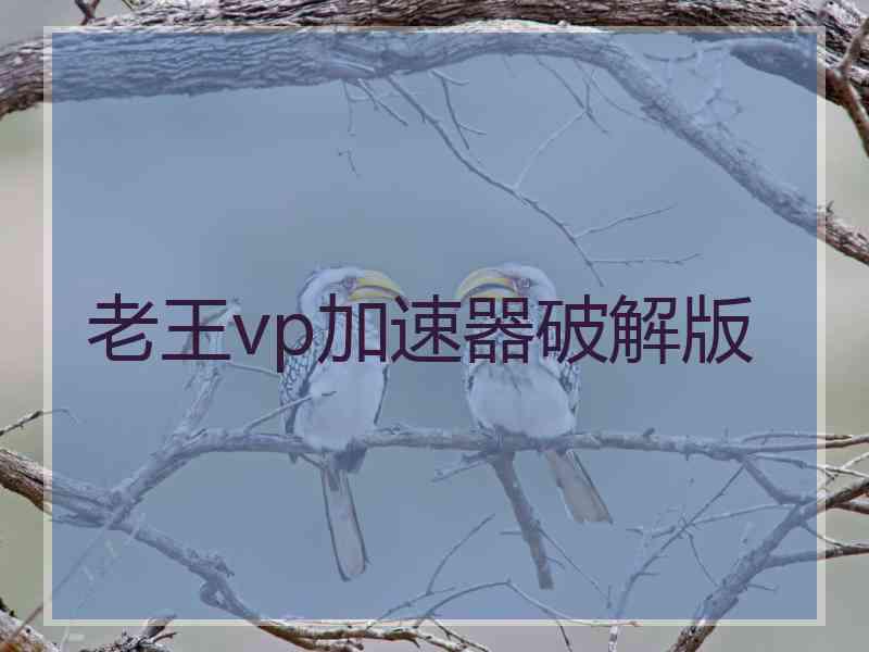 老王vp加速器破解版